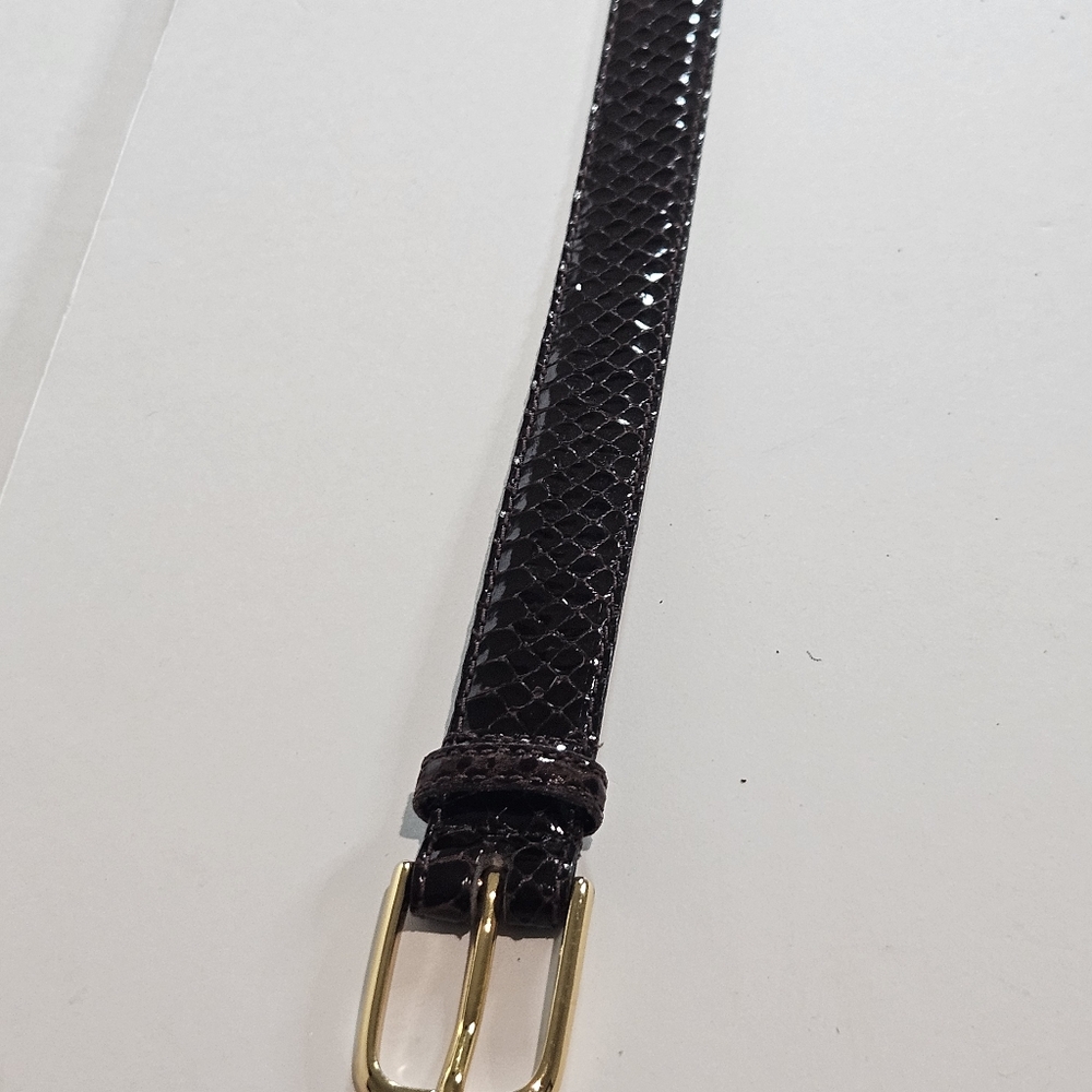 Women Genuine Snakeskin Leather Belt Sz 26 BR Gold Brass Buckle Preppy Statement